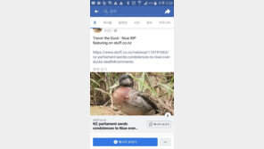 ‘세상에서 가장 외로운 오리’ 죽음에 애도 물결