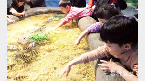 포항 과메기문화관에서 해양체험