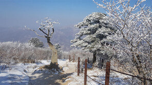 눈 덮인 태백산