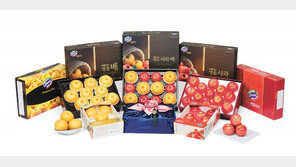 과일 구입할땐 프리미엄 공동브랜드 ‘썬플러스’