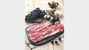 우리 모두의 건강’ 모토… 대전충남 명품 축산물 