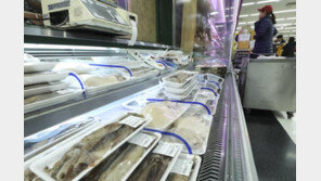 오징어가 돌아왔다?…생산량 증가에 ‘金징어’ 벗어날까