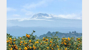 “한국인, 낯선 곳보다 마음에 든 곳 깊고 넓게 여행한다” 