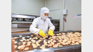 노브랜드가 날개 사업도 삶도 예스~