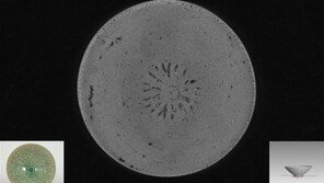 고려청자 그릇에서 눈으로 볼 수 없는 꽃무늬 상감 발견