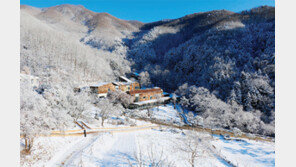 힐리언스 선마을, 2019 새로운 시작을 위한 겨울 스테이