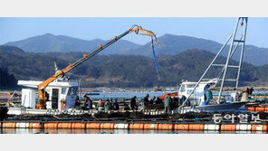 겨울바다 전복 수확