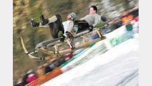 [고양이 눈]달려라