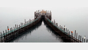 어구로 물고기 잡는 ‘전통어로방식’ 문화재로 보전한다