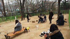 “반려견 놀이터, 설 연휴에도 문 열어요”…무료 이용