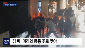 승리 클럽 ‘버닝썬’ 폭행 靑청원 20만 돌파, “경찰 뇌물 여부 조사”