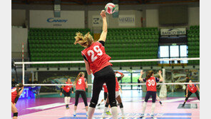 [스토리 발리볼] 2019년 외국인선수 트라이아웃은 캐나다 토론토에서