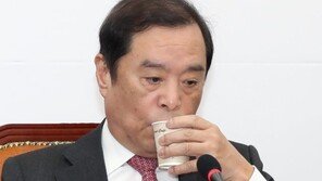 김병준 “예타 면제, 文 지지율 떨어진 지역 족집게 지원”