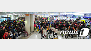 제주 이주 열풍 ‘시들’…순유입 인구 5년만에 1만명 아래로