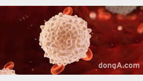 GC녹십자랩셀, 앱클론 표적 항체기술 도입…암세포 살상력↑