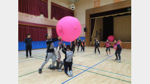 초등교사 남성 합격자 비율이 50%…전국서 가장 높은 지역은?