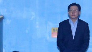 전여옥 “사법부 ‘김경수 법정구속’ 판결, 최소한의 정의 지킨 것”