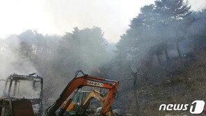동해서 산불로 번진 중장비 화재…산림 0.5ha 손실