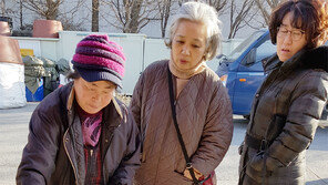 “주꾸미가 벌써 나왔네”