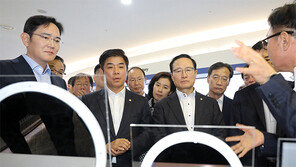 이재용 “시스템반도체, 미래 성장동력으로 키우겠다”