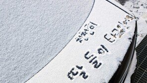 [고양이 눈]천천히 오렴