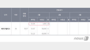전셋값 7억 ‘레이크 팰리스’ 3400만원? 오류냐 탈세냐