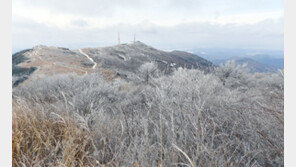광주·전남 대설주의보 확대…“7㎝ 눈 더 내릴 듯”