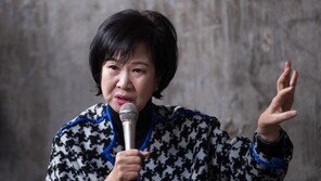 [단독]손혜원, 이번엔 겸직금지 국회법 위반 논란