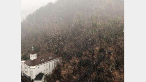 부산에 첫눈 ‘펑펑’…“귀한 눈, 흥분해서 소리질러” SNS도 난리