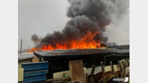 부산 동물사육장, 화재로 전소… 애완견 20마리 불에 타 숨져