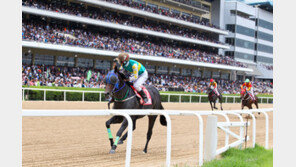 “불법경마 신고 하세요” 포상금 최저 200만 원