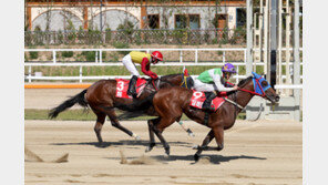 ‘암말 최강자’ 실버울프, 2연패 노린다