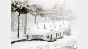 ‘대설’ 제주 산간·북부 도로 곳곳 통제…하늘길·뱃길 차질