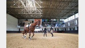 승용마 생산농가 대상 말 조련 이론 교육생 모집