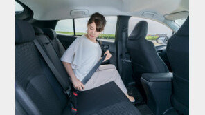 뒷좌석 안전띠, 10명 중 7명 안 매…교통사고 나면 사망률 3.7배 Up