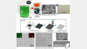 극한 환경서 녹슬지 않는 니켈로 저가 플렉시블 투명전극 개발