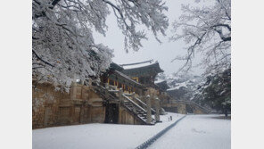 설경 속 경주, 불국사와 삼릉숲 등 ‘겨울 운치’ 뽐내