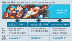 넷마블, 넥슨 인수전 가세… “국내자본 중심 컨소시엄 구성”