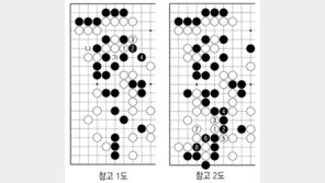 [바둑]알파고 vs 알파고 특선보… 묘하고 묘하도다
