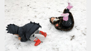 구르고… 뒹굴고… 눈 만난 아이들