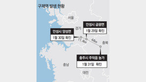 충주서도 구제역… 방어막 뚫렸다