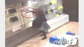 서울·부산 백화점 명품관 돌며 가방·모피코트 1억 훔친 30대