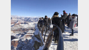 그랜드캐니언 추락 유학생, 여행자보험 가입했다면?