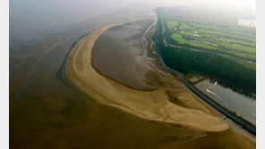 ‘한국의 갯벌’ 세계유산 등재신청…1년 만에 재도전