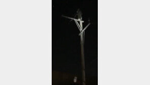 “가족 찾아달라” 대구서 전봇대 오른 60대…일대 전력 차단