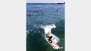 짧은 ‘그 순간’ 즐기러…국도 7호선 해변에 모이는 사람들