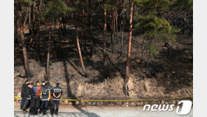 양양산불 한 달…원인, 실화자 찾을 수 있을까