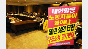 “한진칼에만 최소한 경영참여”…반쪽짜리 절충안 나온 이유는