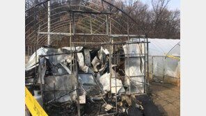 화재현장 방치 20대 아직도 의식불명…가족들 ‘분통’