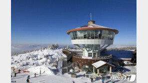 하이원 스키장서 20대 펜스 뚫고 6m 계곡으로 추락사